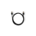 RoGer AM-AM USB Cable 2m