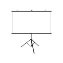 Blitzwolf 100 inch projection screen BW-VS12