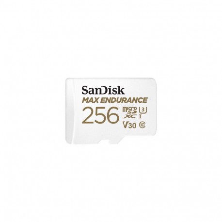 SanDisk mälukaart Max Endurance 256GB microSDHC SDSQQVR-256G-GN6IA