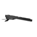 Natec Herring | Keyboard | Wired | US | Black | USB Type-A