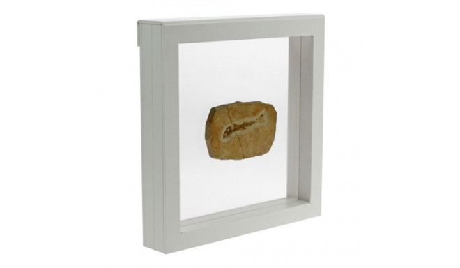 SAFE 3D esitlusraam 180×180 - valge