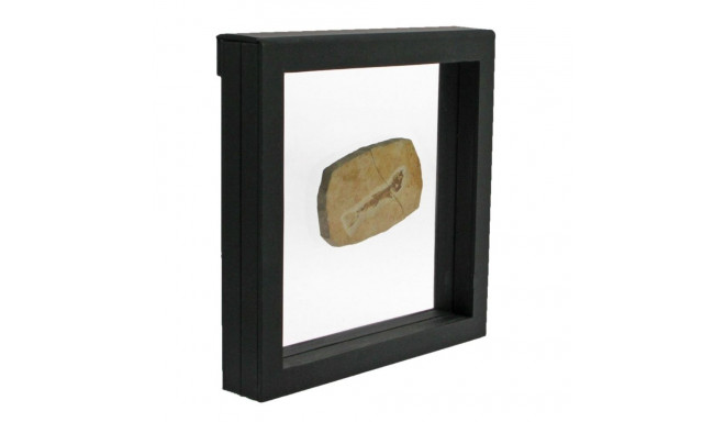 SAFE 3D esitlusraam 180×180 - must