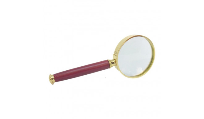 SAFE Luup Gold Edition - 5x