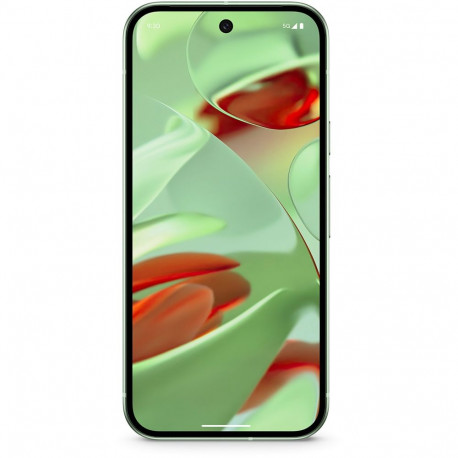 "Google Pixel 9 128GB 12RAM 5G Wintergreen"