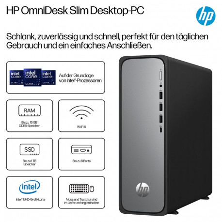 "HP OmniDesk Slim S03-0412ng Intel 300 8GB/512GB SSD Windows 11 schwarz"