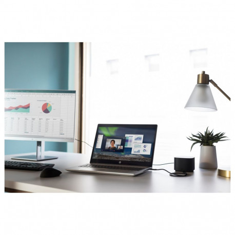 "HP Maus USB Fingerprint Laser-3Tasten-kabelgebunden-USB"