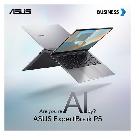 "Asus AI ExpertBook P5 P5405CSA-NZ0101 CU5 226V/16GB/512GB/noOS/silver"