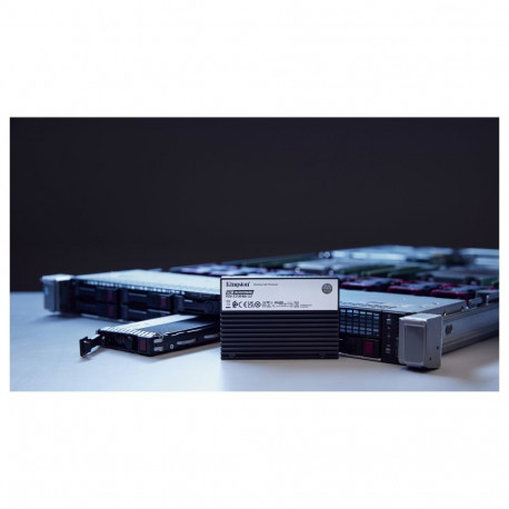 "KINGSTON 3.84TB DC3000ME U.2 PCIe 5.0 NVMe"