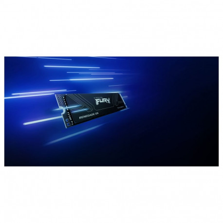 "M.2 4TB FURY RENEGADE G5 2280"