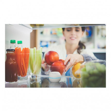 "Shelly Sensor ""H&T"" WLAN Temperatur & Feuchtigkeitssensor Batterie Weiß"