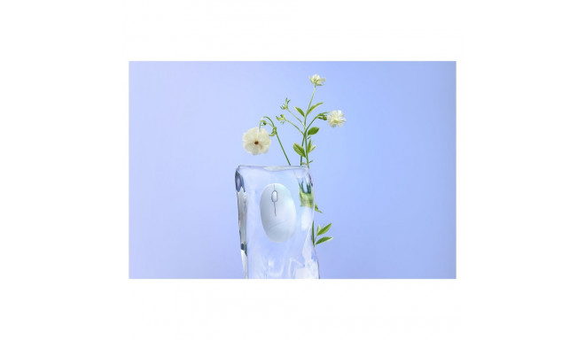 "Asus MD101 MOUSE/PK"