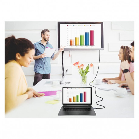 "Equip DisplayPort 2.1 St/St 1.00m16K/60Hz komp.HDCP Alum. gr"