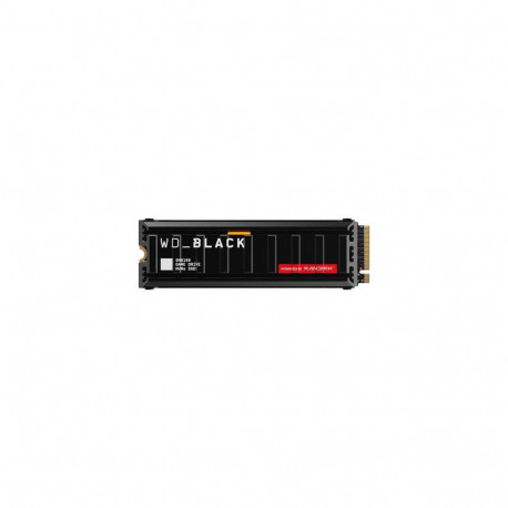 SanDisk Black WD_BLACK™ SN8100 NVMe™ SSD POWERED BY 2 TB, [With Heatsink]