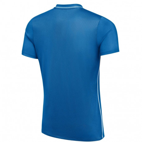 Nike meeste särk Dri-Fit Park 26 SS Top HM7127 463 L, sinine