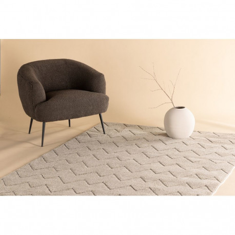 Vaip FIA 230x160 cm, pruun