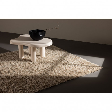 Vaip LEIKO 300x200 cm, beež