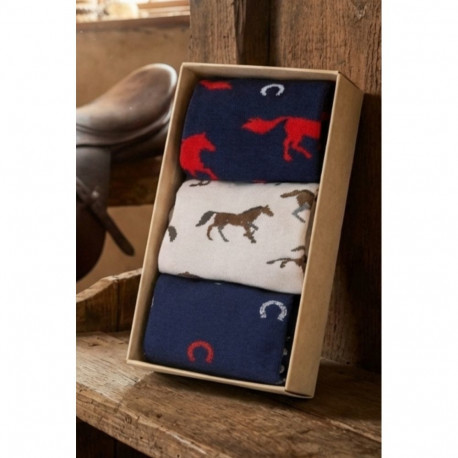 SOKISAHTEL HORSE 2026 hobuseaasta kinkekarp kolme sokipaariga 444, 446