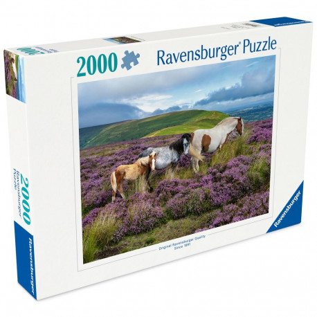 Ravensburger pusle 2000 tk: metsikud hobused aasal