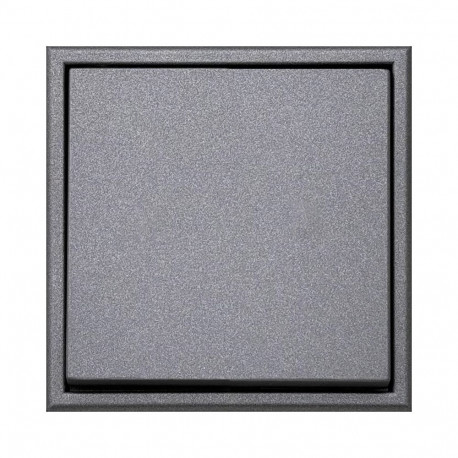 kahepoolne lüliti IP6.10-201-01.M/BM MODER