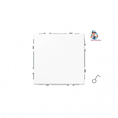 SWITCH IJ1.10-203-01.M/WM modern valge