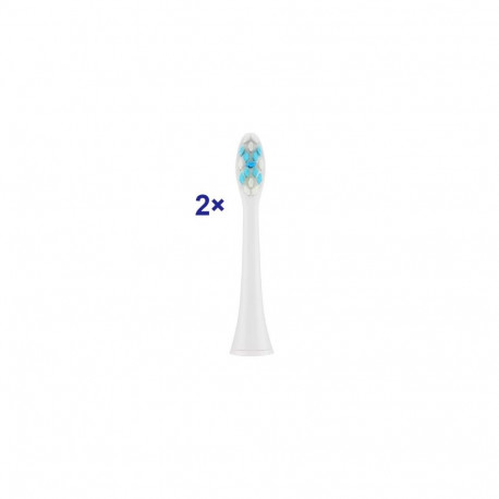 ETA Toothbrush replacement SoftClean 070790300 Heads, For adults, Number of brush heads included 2, 