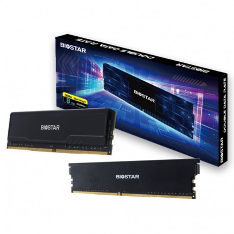Biostar DDR4 Storming V mälumoodul 8 GB 1 x 8 GB 3200 MHz (DX32NU4H08)