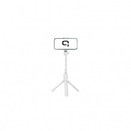 Quik QS-622 Selfie Stick with LED Lamp