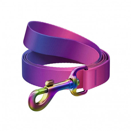 WAUDOG gradient nylon dog leash, 15mm wide, 122cm long, purple