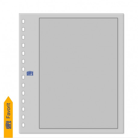 SAFE Kartong-Blanko vaheleht raamiga - hall