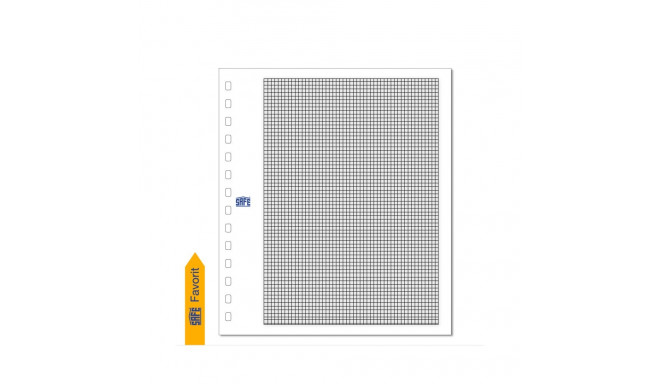 SAFE Kartong-Blanko vaheleht raami ja ruudustikuga - valge