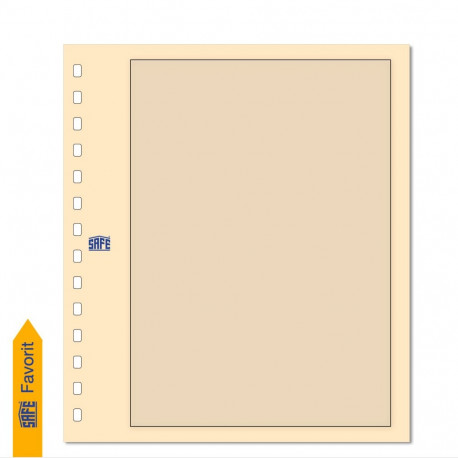 SAFE Kartong-Blanko vaheleht raamiga - beež