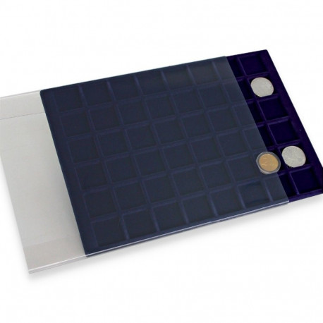 SAFE Kaitseümbris suurele mündisahtlile