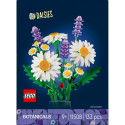 Blocks Botanicals 11508 Daisies