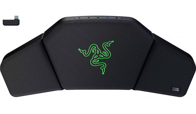 Razer wireless speaker head cushion Clio