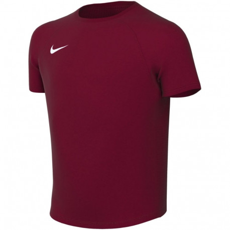 Nike laste särk Dri-Fit Park VIII HV8182 677 XS, bordopunane