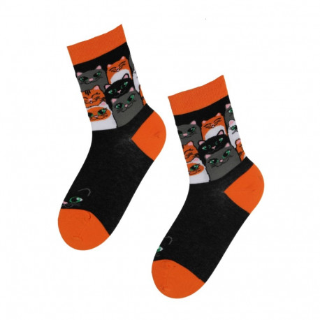 SOKISAHTEL CATS PARTY lõbusad kirjud kassisokid 444, 446, 452