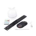 Levenhuk  Star Sky P2 Planetarium