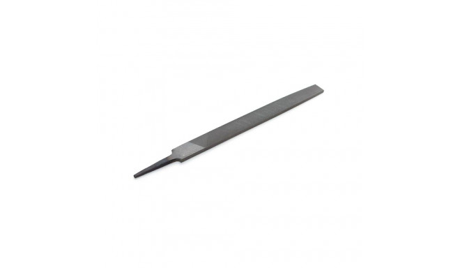 FLAT METAL RASP 250 MM