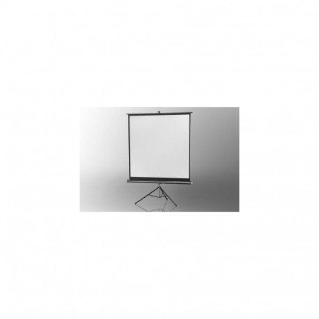 Celexon Economy projection screen 1:1