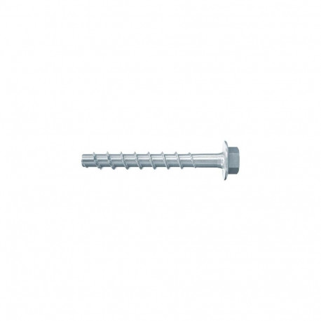 Fischer 546391 screw/bolt 60 mm 100 pc(s)