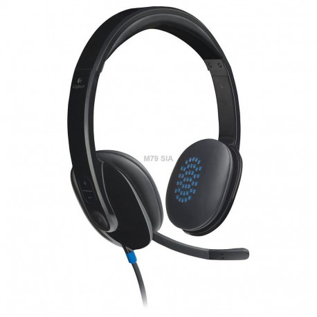 Logitech Headset H540  NB  USB