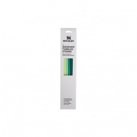 Stanley The Quencher Travel Tumbler Straws 4pcs Green
