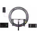 Falcon Eyes ring light Bi-Color DVR-512DVC