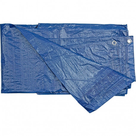 Toya Present 85115, 4x6 m, 75 g/m², PP, PE, kinnitusavadega