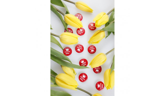 SOKISAHTEL AASTA EMA rinnamärk 425