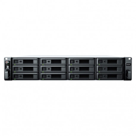 RS2423+