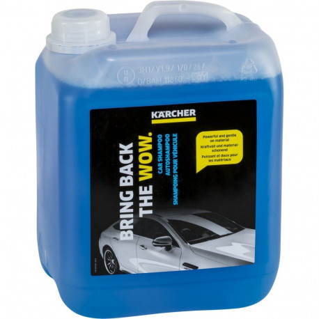 Kärcher Car Cleaner RM 619, 5 l