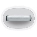 Apple adapter Lightning - 30-pin 20 cm