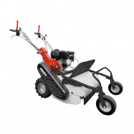 Vasarniiduk HECHT 5812