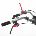 MULLAFREES HECHT 7970
